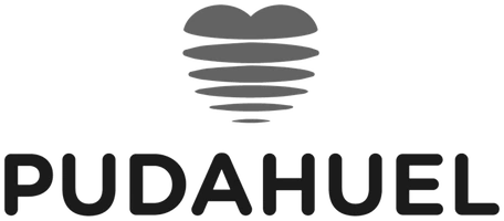 Radio Pudahuel
